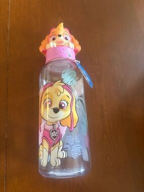 Amazon Pink Paw Patrol Skye Kids Water Bottle with Orange Character Lid